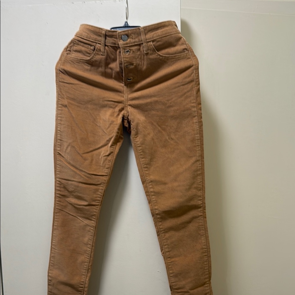 Levi's Women's Brown Pants